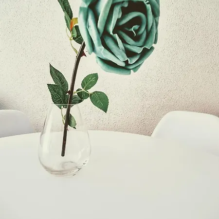 Apartamento Brisa Turquesa